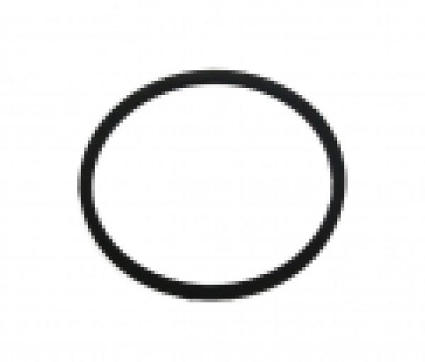 Schwimmerkammerdichtung Bing SRE 12-15mm Viton